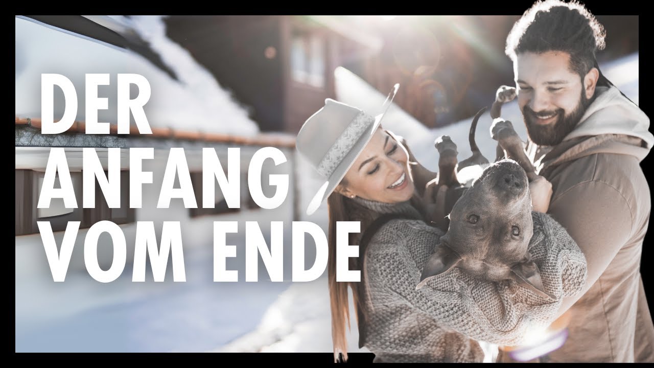 Seelenhund Amstaff Vito