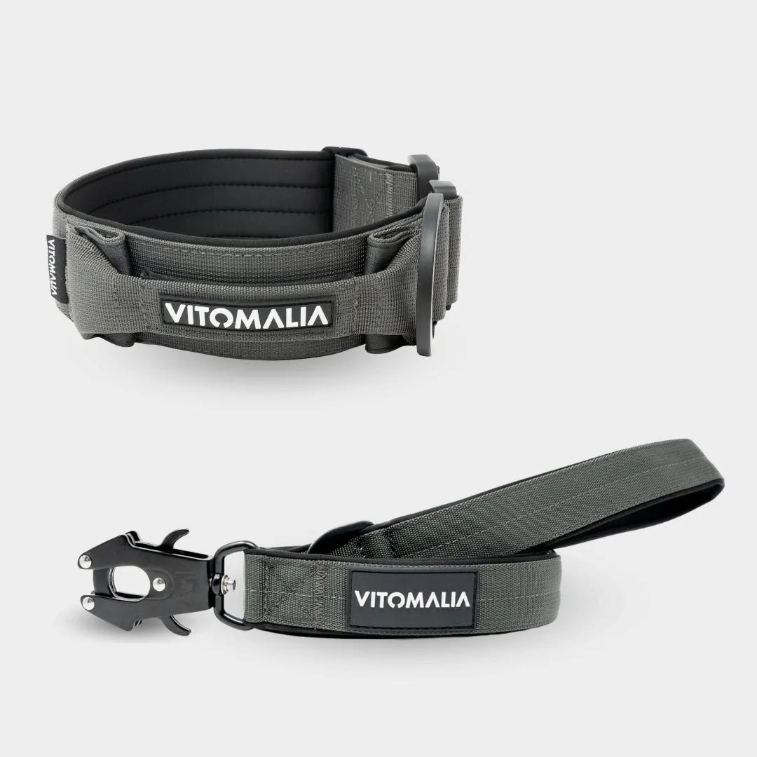 Zestaw Extreme Edition Anthracite - Obroża + smycz 1.2 z pętlą na rękę