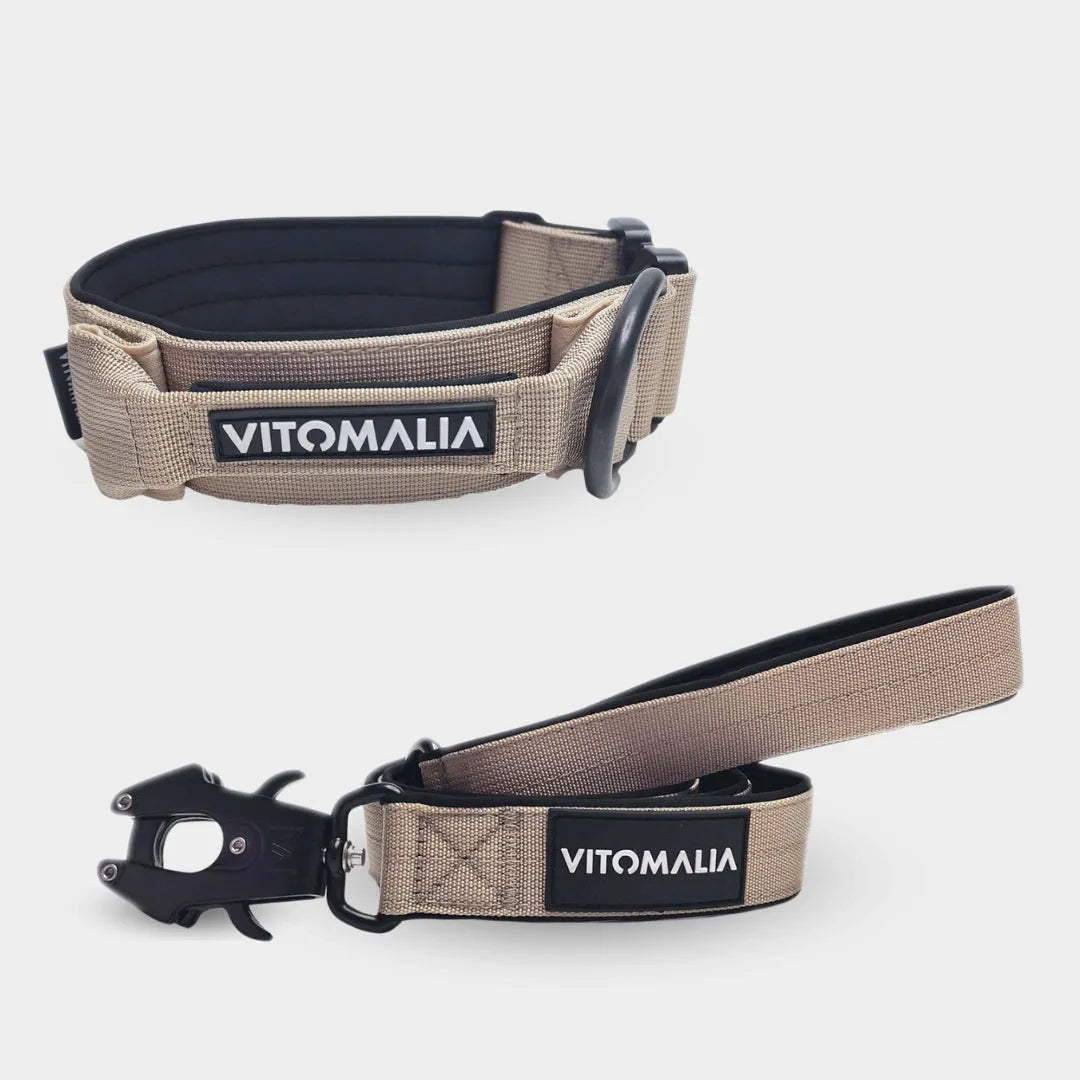 Zestaw Extreme Edition Beige - Obroża + smycz 1.2 z pętlą na rękę