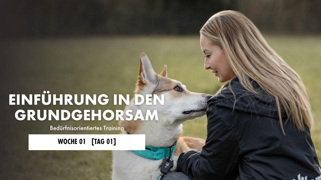 Hund sitzt im Vorsitz vor einem Mann. 