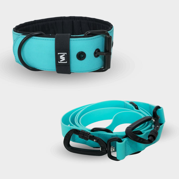 Set Aqua Edition Turchese - Collare + Guinzaglio per cane triplo regolabile da 2,2 m Guinzaglio per cane