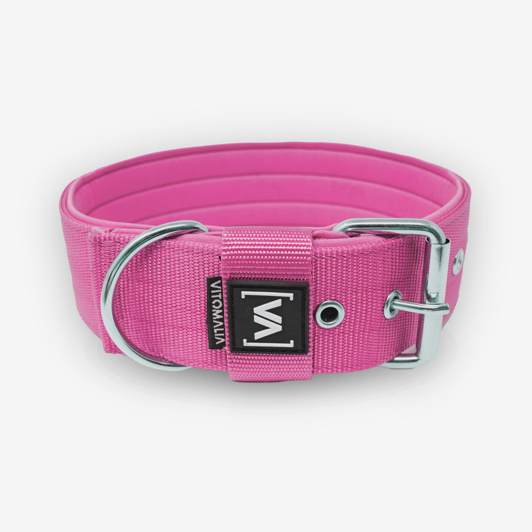 Bundle Classic Edition Pink Set - Collare + Guinzaglio per cane triplo regolabile da 2,2 m Guinzaglio per cane