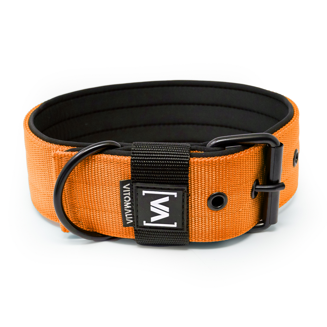 Klassisches Hundehalsband mit abstehender Innenfütterung - Nero Orange - Vitomalia - Hundehalsband