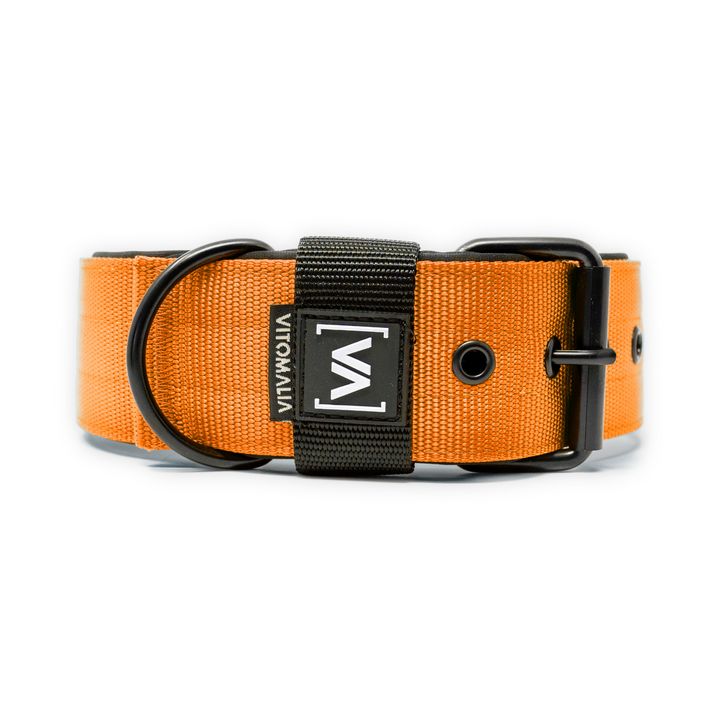 Klassisches Hundehalsband mit abstehender Innenfütterung - Nero Orange - Vitomalia - Hundehalsband