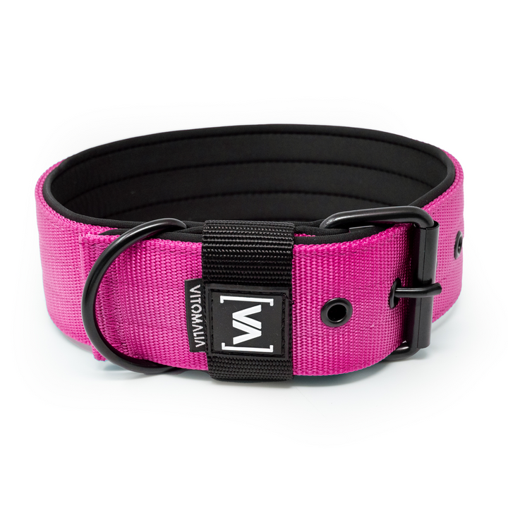 Klassisches Hundehalsband mit abstehender Innenfütterung - Nero Pink - Vitomalia - Hundehalsband