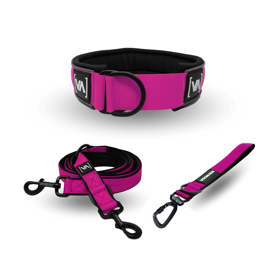 Easy Go Edition Set - Pink / Zugstopphalsband + Kurzführer + 2m verstellbare Hundeleine - Vitomalia - 