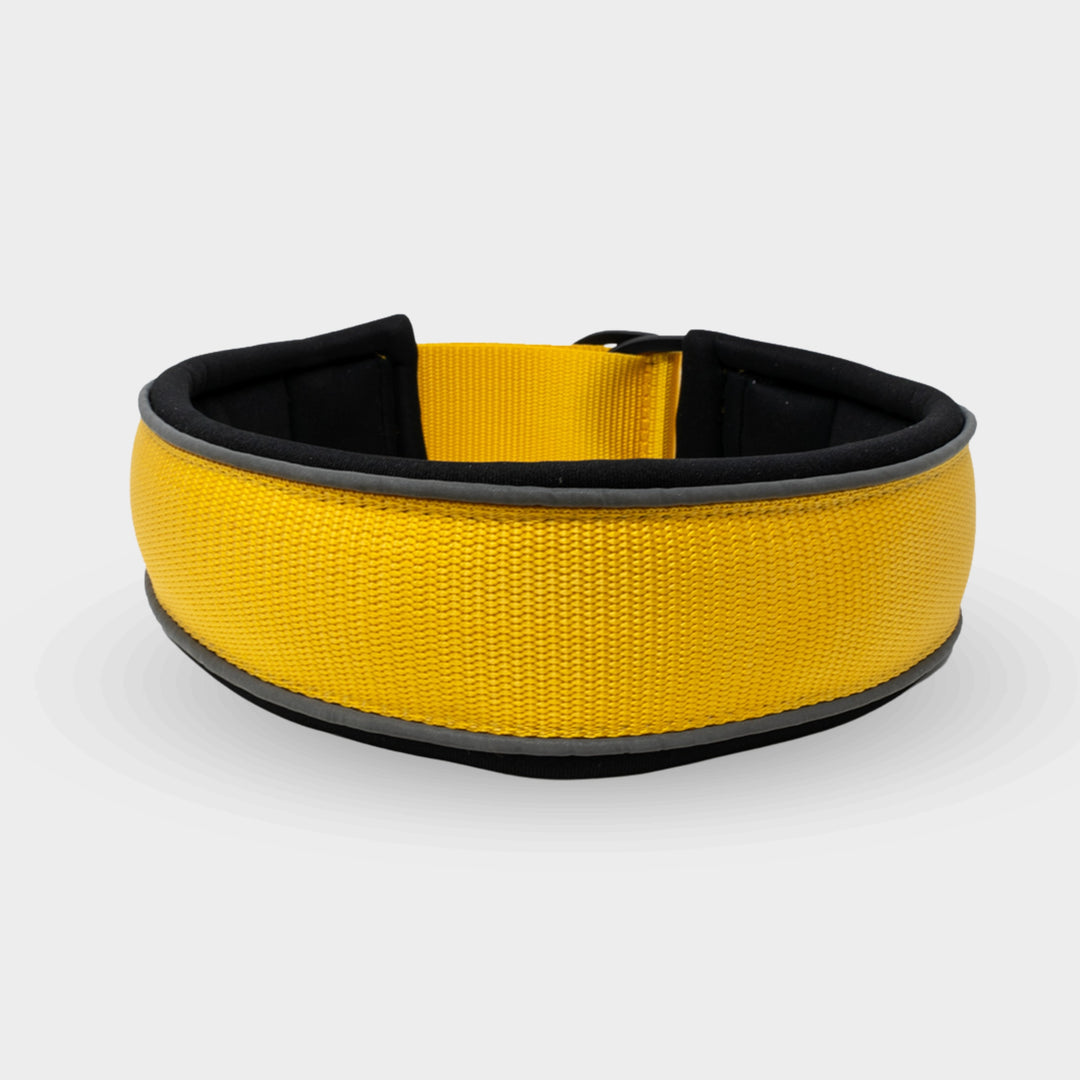 Collier de chien jaune réfléchissant à arrêt de traction - Avec fonction anti-étranglement