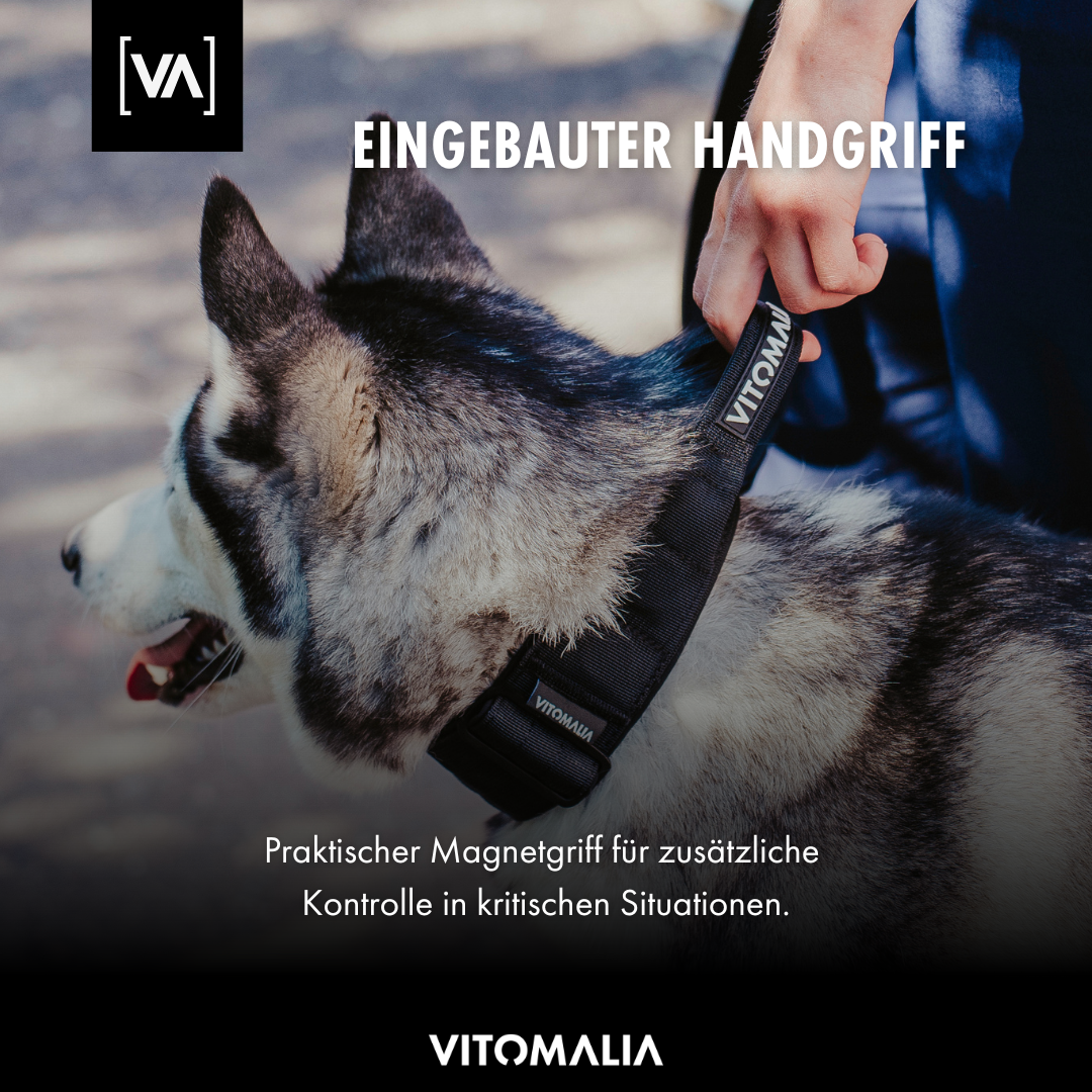 Taktisches Hundehalsband mit belastbarer Schnalle & Magnet Handgriff - Schwarz - Vitomalia - Hundehalsband Extreme Edition