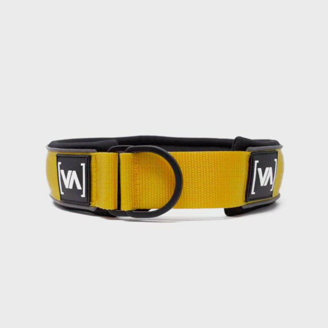 Reflective yellow pull-stop dog collar - With anti-choke function