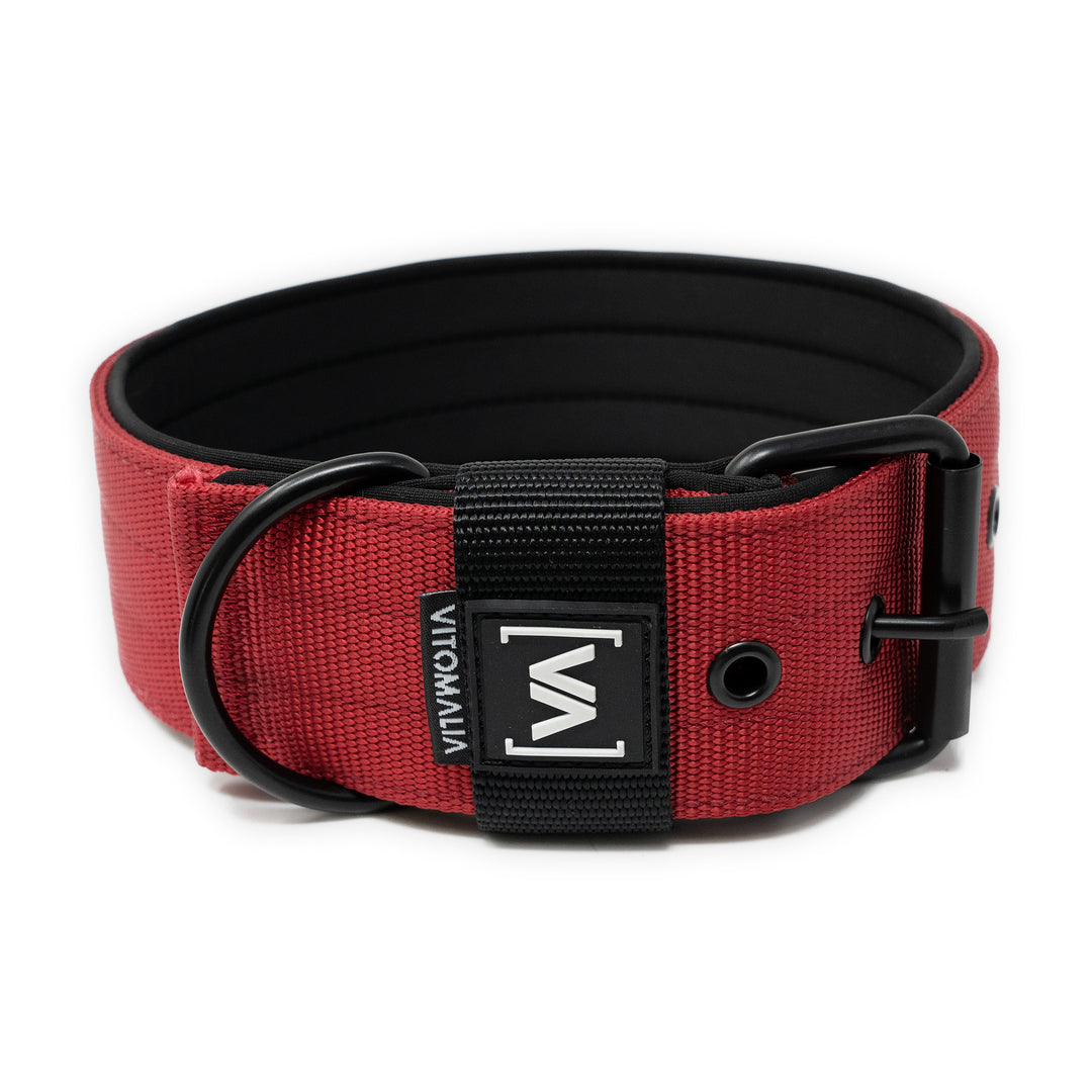 Hundehalsband Classic Nero Edition - Bordeaux - Vitomalia - 