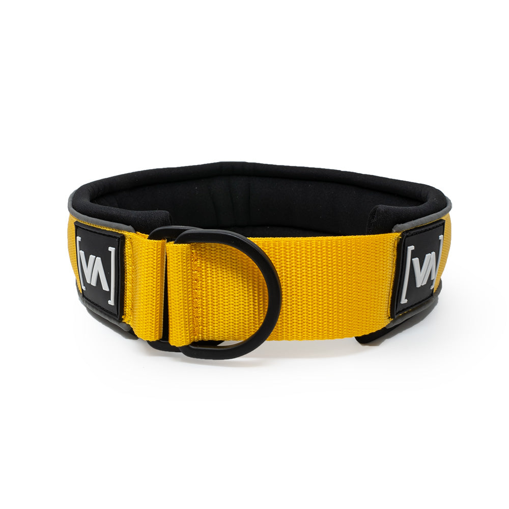 Hundehalsband Easy Go Edition Gelb - Vitomalia - Hundehalsband