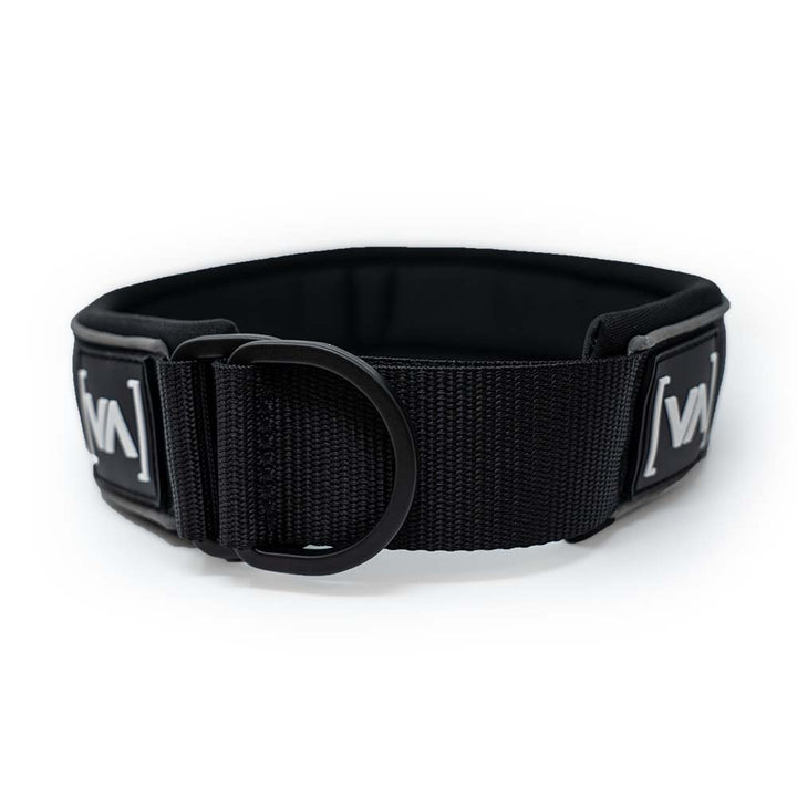 Hundehalsband Easy Go Edition Schwarz - Vitomalia - Hundehalsband